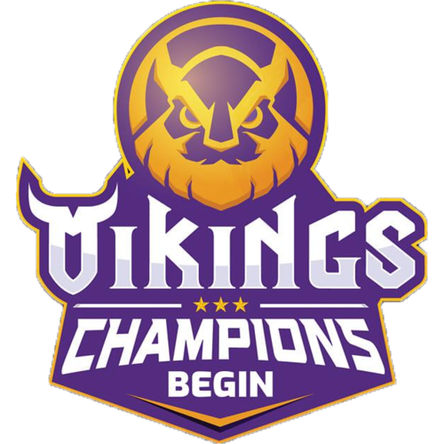 Logo Vikings Esports