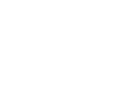 Logo VALIANT GC