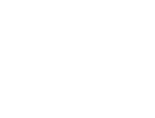 Logo XPERION NXT
