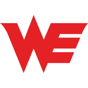 Logo Team WE