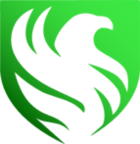 Logo Team Falcons