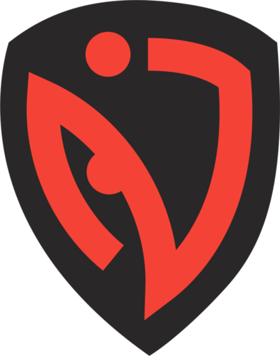 Logo NASR Esports