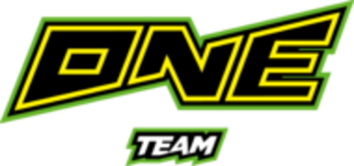 Logo ONE Team