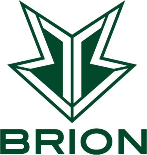Logo BRION Challengers